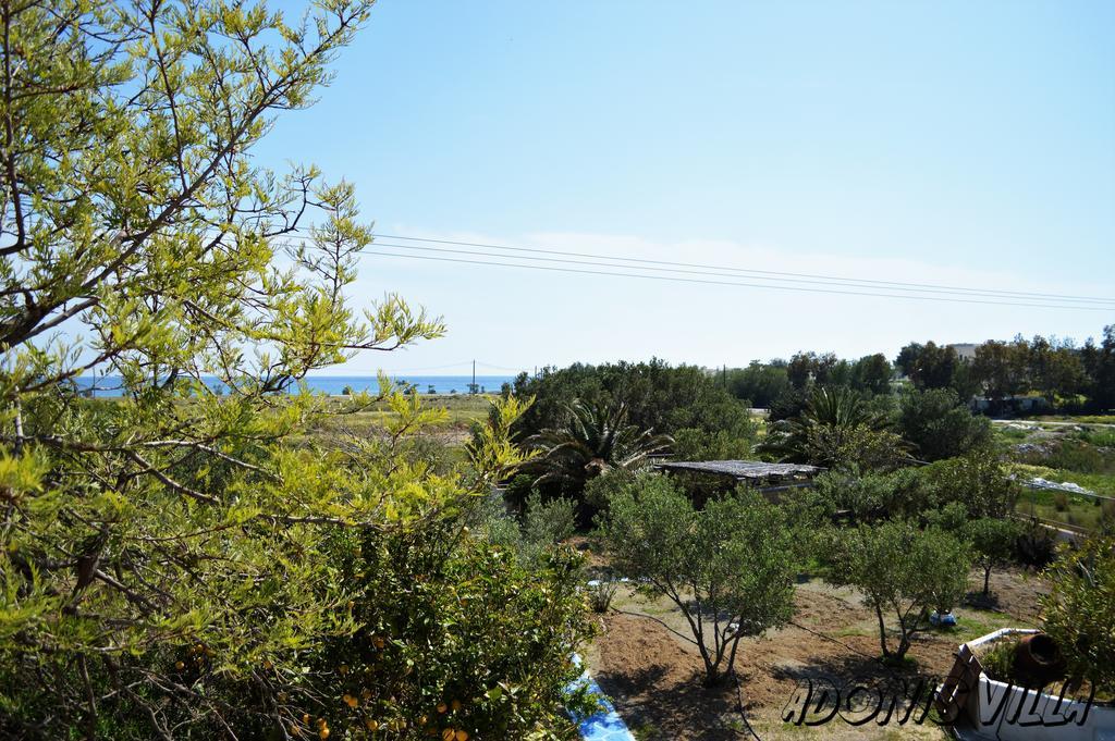 קוטסונארי Adonis Villa מראה חיצוני תמונה