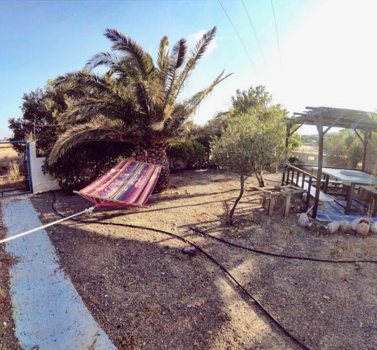 קוטסונארי Adonis Villa מראה חיצוני תמונה